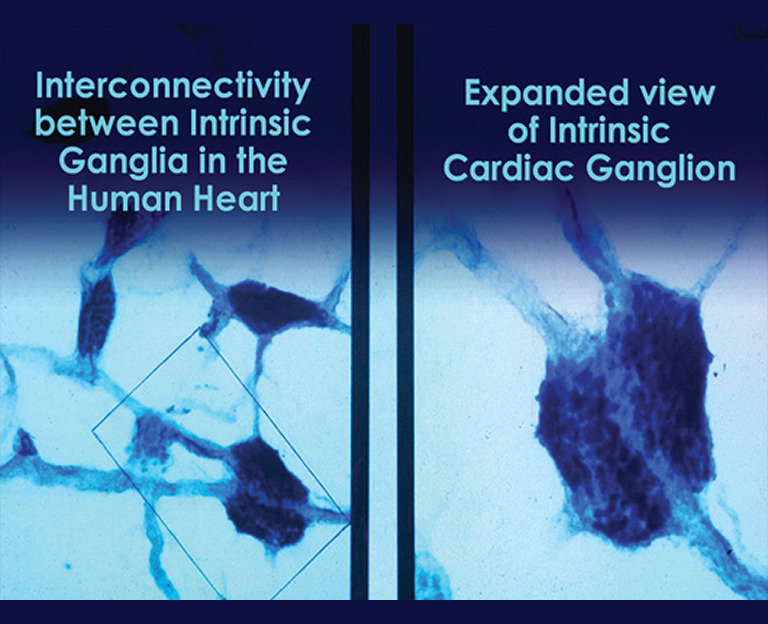 You are currently viewing Heart Energy