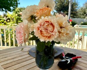 Read more about the article Self-Care 