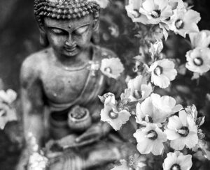 Read more about the article The Two Arrows