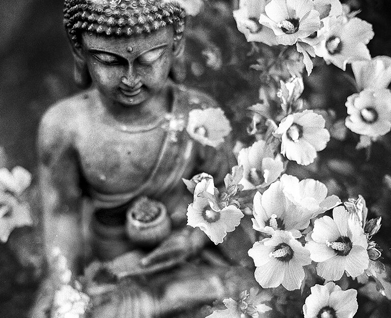 You are currently viewing The Two Arrows