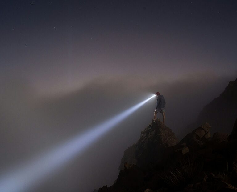 You are currently viewing Placement Agencies: Scratching the Surface of a Growing Empire