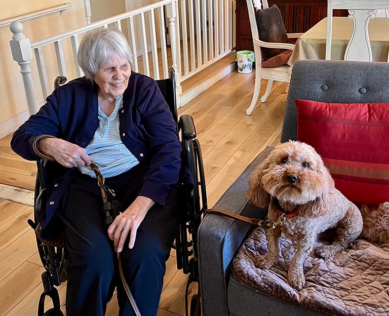 You are currently viewing The Healing Power of Dogs: From Summer Companion to Future Therapy Partner